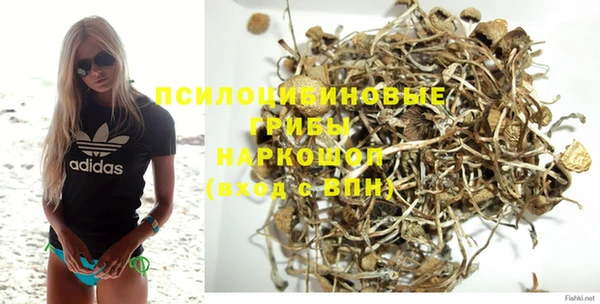 mdma Няндома