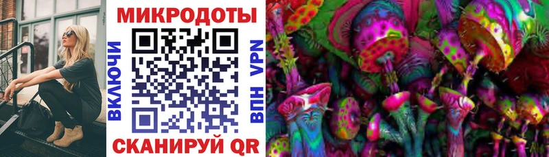 Псилоцибиновые грибы прущие грибы  Павлово 