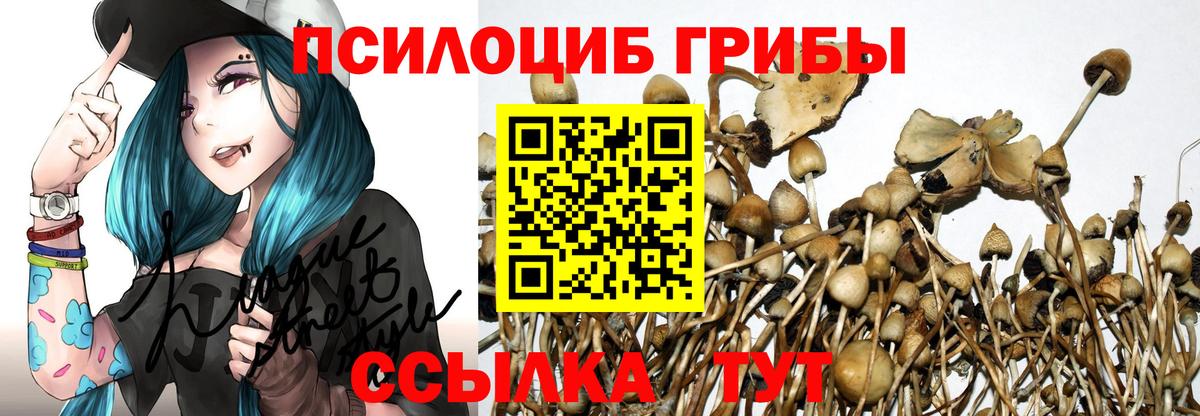 Псилоцибиновые грибы GOLDEN TEACHER Павлово
