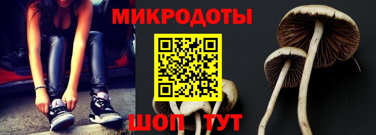 Павлово  Псилоцибиновые грибы MAGIC MUSHROOMS  Вход с VPN 